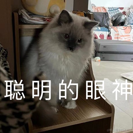 打你的修狗于2023-04-10 21:04发布的图片