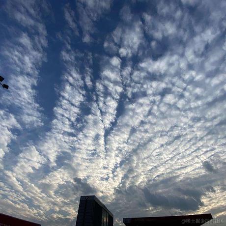 狂奔ing__蜗牛于2022-03-27 08:04发布的图片