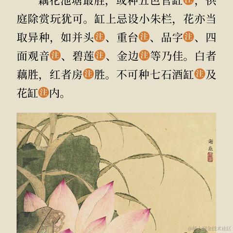 爱迷路的Fiona于2023-04-05 23:12发布的图片