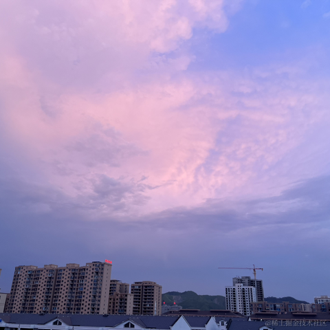 肤浅的羊于2023-08-09 23:32发布的图片