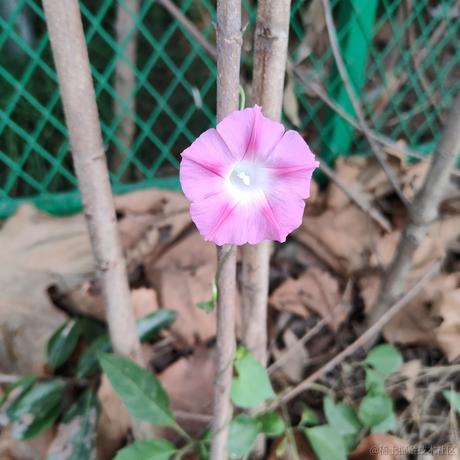 吃点饭于2022-11-21 09:03发布的图片