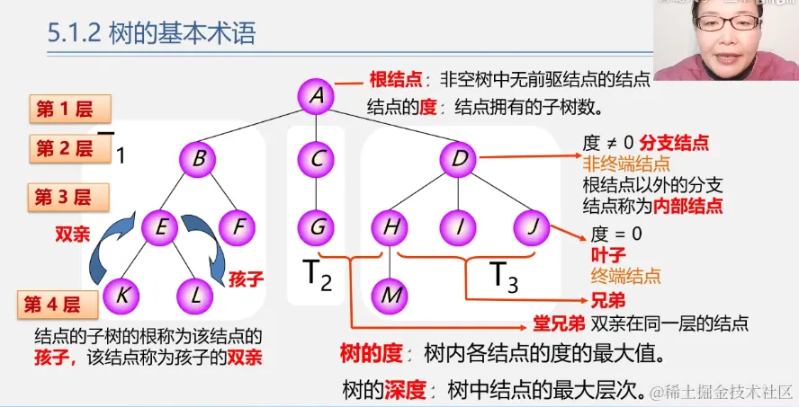 树术语.png