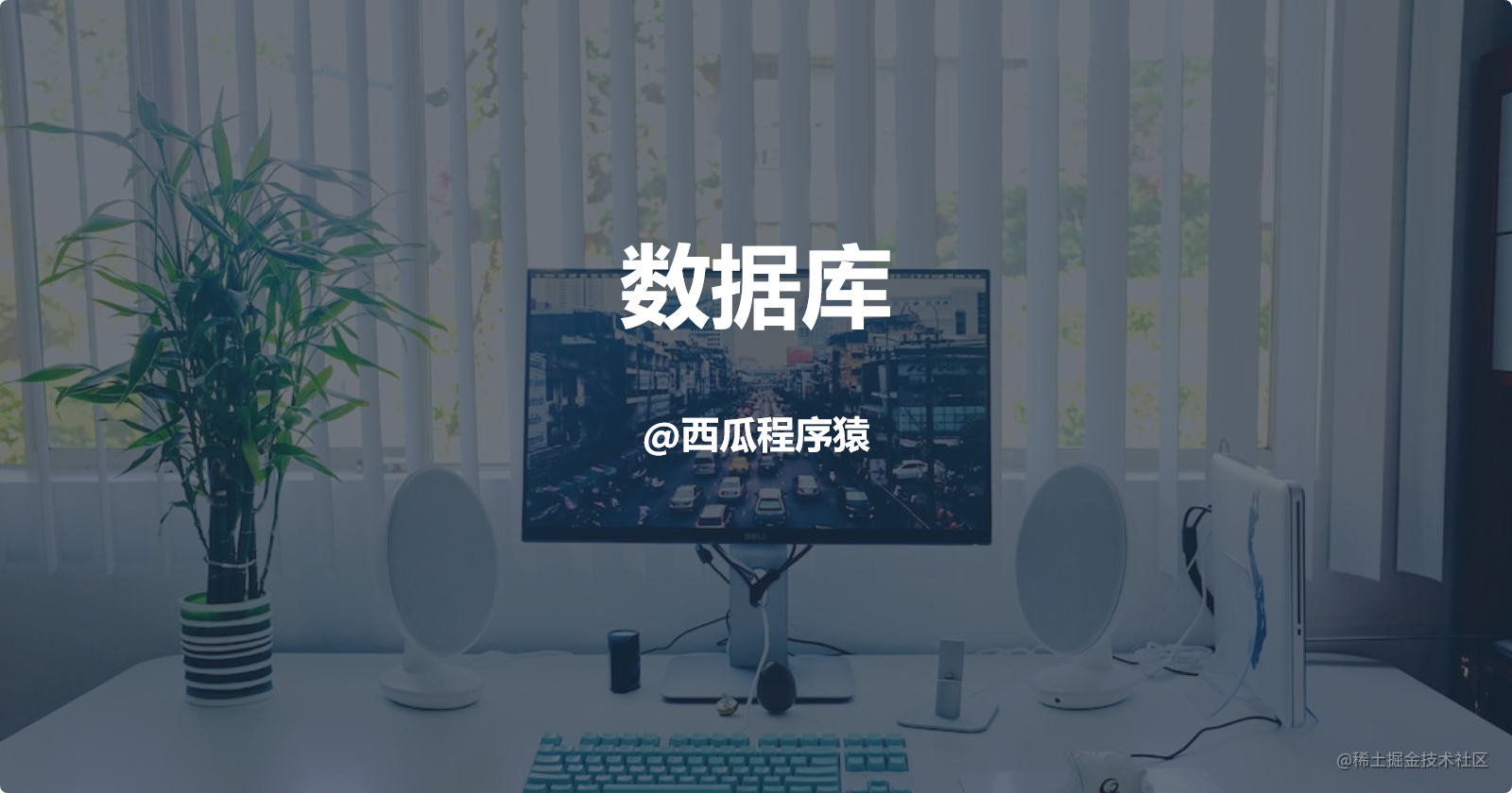 数据库