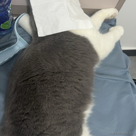 单纯_稀饭于2024-06-10 09:38发布的图片