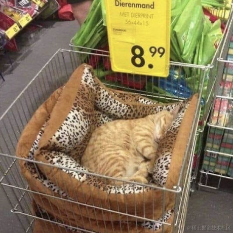 蓦然天下于2021-12-08 21:03发布的图片