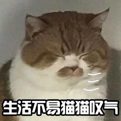 后端的艰辛旅程