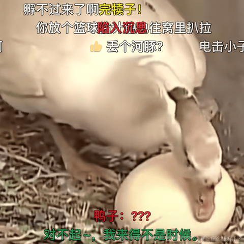 SpongeNoob于2023-01-30 13:17发布的图片