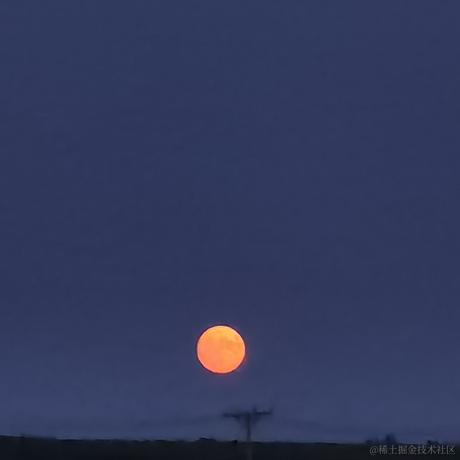 项晚大魔王于2022-12-03 14:15发布的图片