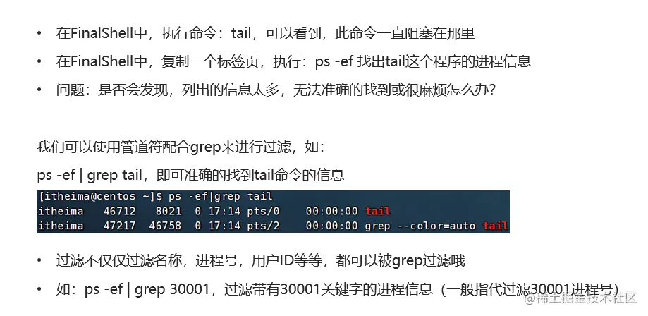 如何利用Curl命令行工具高效地处理网络请求？
