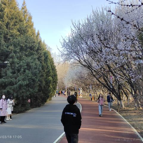 私涙洇于2023-03-30 10:39发布的图片