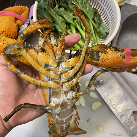 从热河到定西于2021-11-22 10:29发布的图片