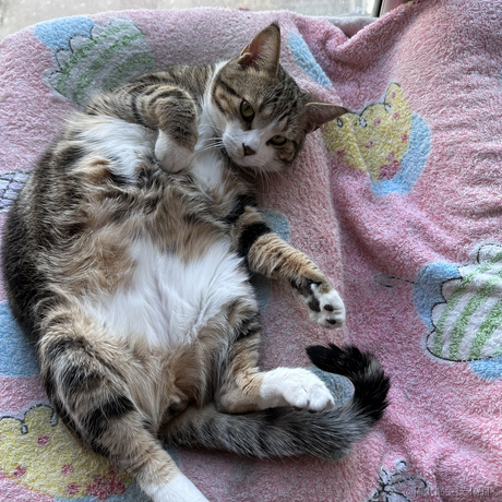 逃离月球表面于2023-05-16 23:22发布的图片