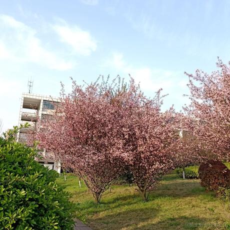 嘉晚饭超好吃于2022-11-21 08:42发布的图片