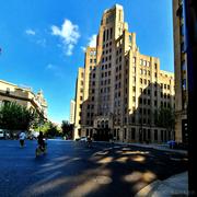 抓狗人的个人资料头像