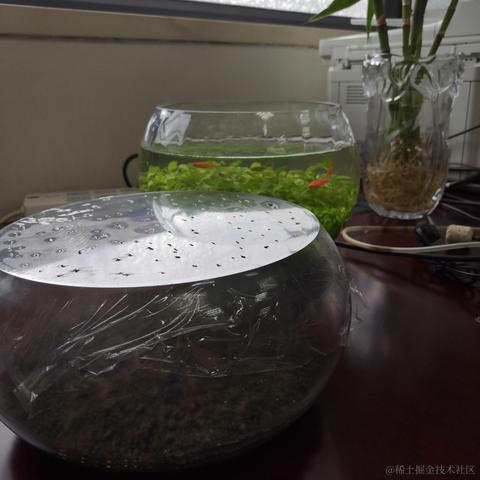 木文心于2023-07-04 12:46发布的图片