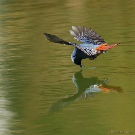 Rockbean于2023-02-02 08:49发布的图片