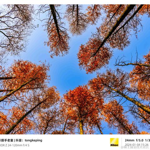 光影童于2024-01-11 11:10发布的图片