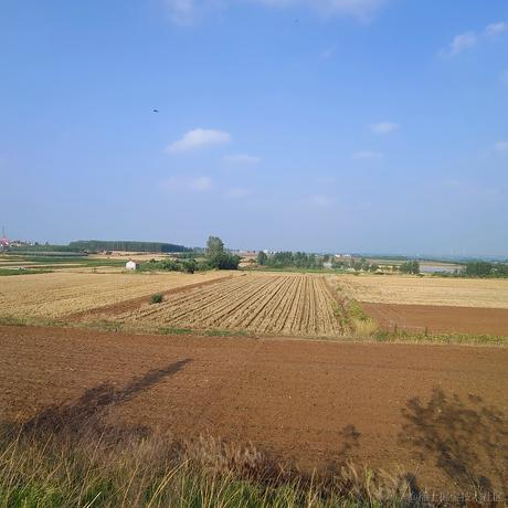 范静宇于2022-11-15 09:05发布的图片