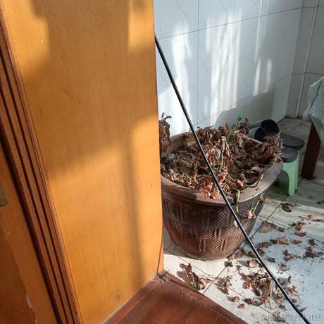 时间倒流回忆归于琳于2022-11-19 14:54发布的图片