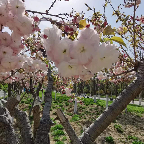 wen622于2023-04-03 13:45发布的图片