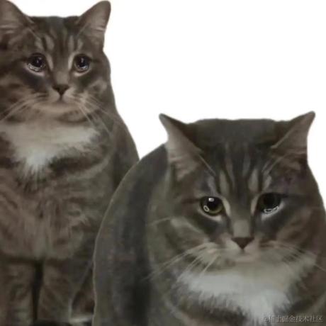 ArloQ于2022-11-26 12:17发布的图片