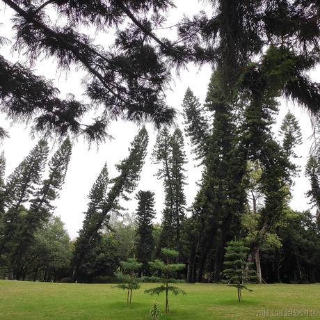 风之精灵王于2022-11-26 00:48发布的图片