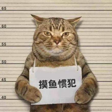 坏孩子的天空于2022-04-24 13:52发布的图片