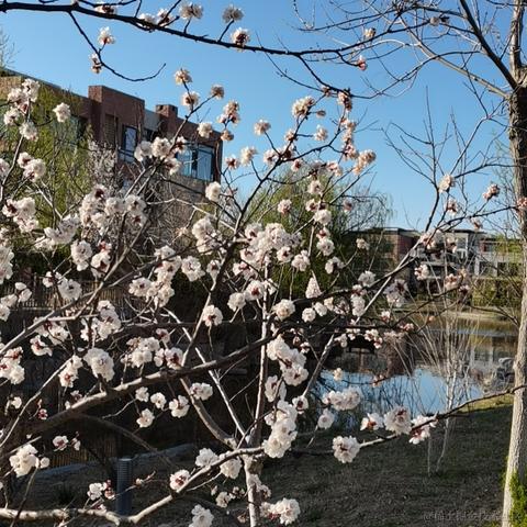 大蒜头只哦吼于2022-03-28 16:16发布的图片