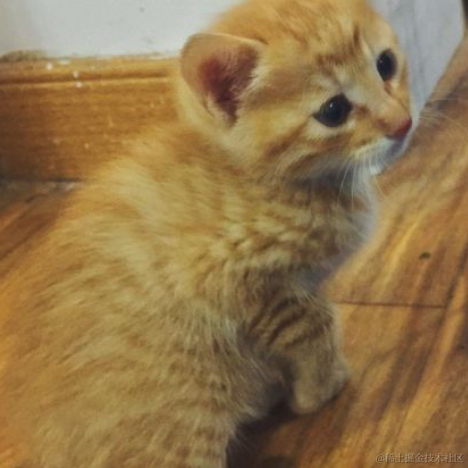 Coredump于2021-09-26 18:10发布的图片