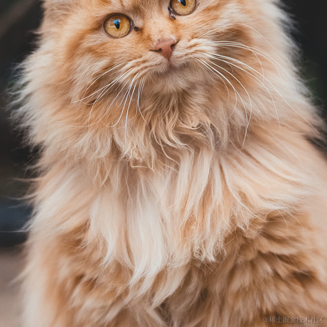 9997896于2021-12-01 22:23发布的图片