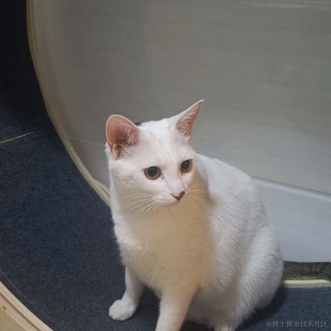 奔跑吧鸡翅于2023-01-14 09:52发布的图片