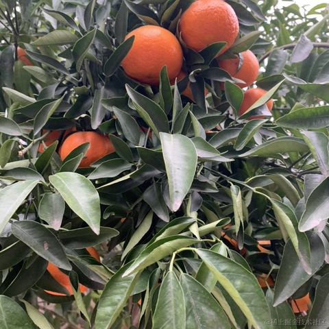 前端咸鱼2于2023-01-18 17:04发布的图片