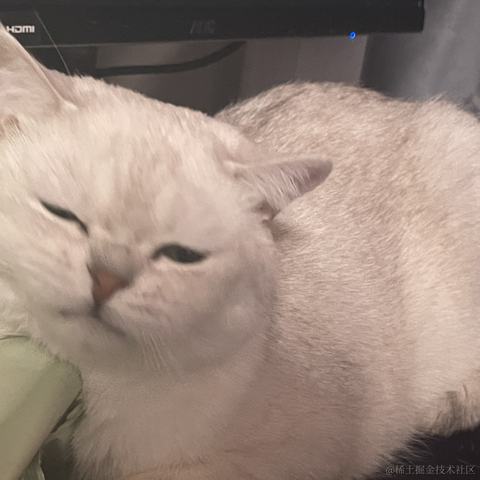 喵怼怼于2023-05-22 09:23发布的图片