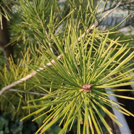 贝拉的晃悠悠于2022-11-08 17:21发布的图片