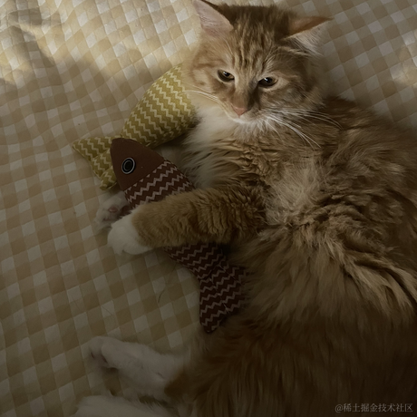 DD_于2023-05-20 13:11发布的图片