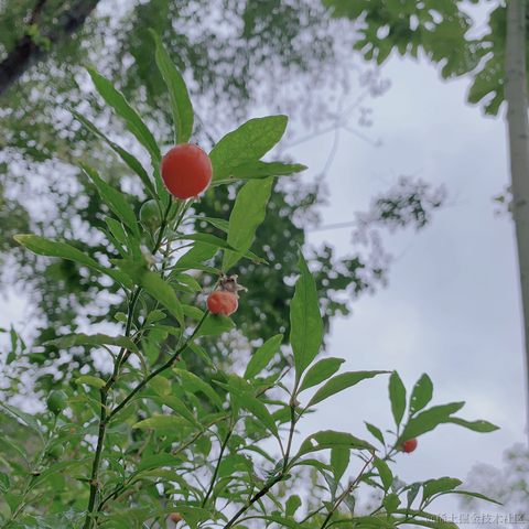 Anastasia酱于2020-10-04 08:56发布的图片