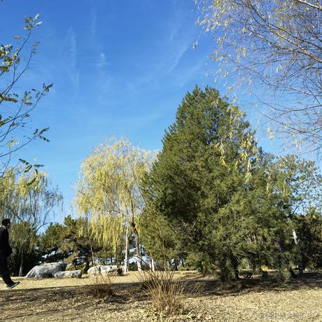 好耶仔仔棒于2022-11-17 10:09发布的图片