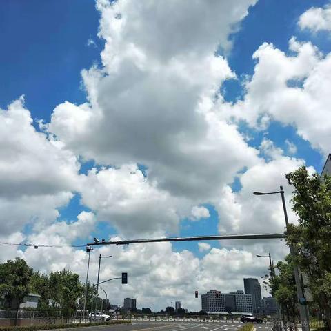 曾是惊鸿照影来于2021-12-21 09:36发布的图片