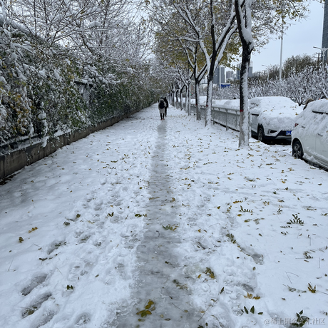 应该算是高级了吧于2023-12-11 09:06发布的图片
