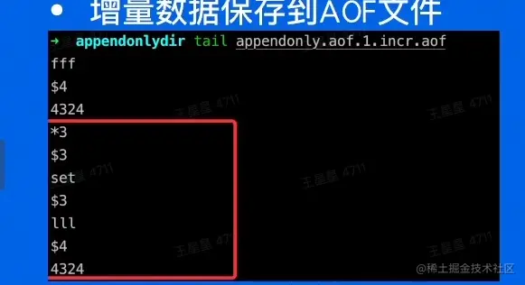 image-20230821220440007 - 副本.png