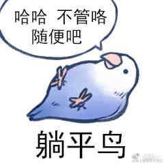 ArloQ于2022-11-11 16:17发布的图片
