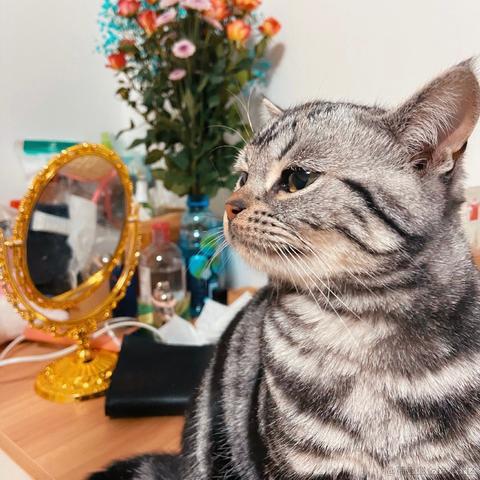 抖音开放平台于2021-10-28 14:21发布的图片