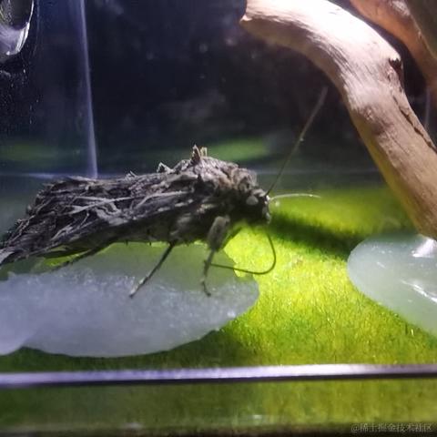 user8167616976815于2022-11-16 12:28发布的图片