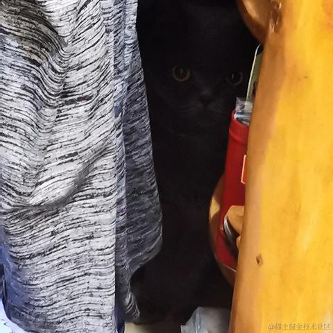 StupidCat_W于2022-09-09 09:26发布的图片