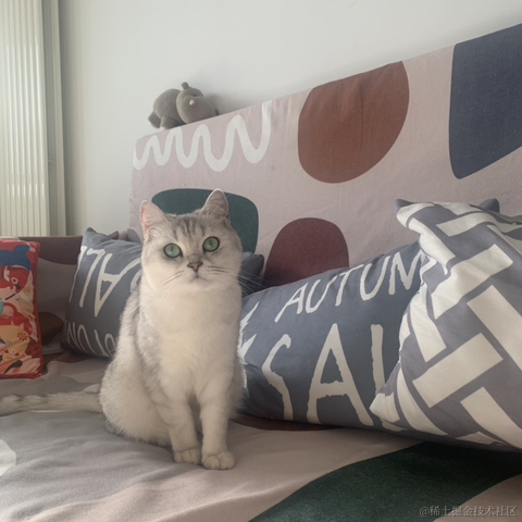 小蝴蝶于2021-12-25 14:16发布的图片