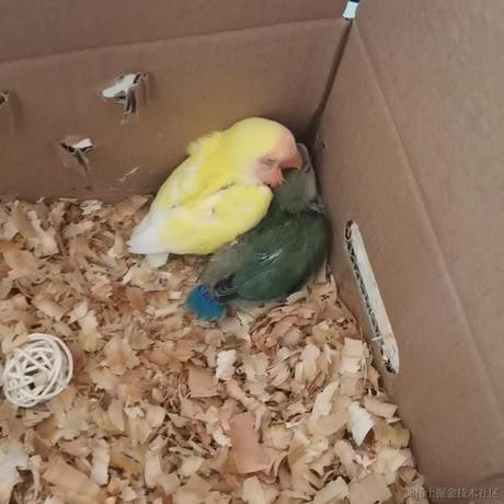 凭海临风在掘金于2023-06-10 08:57发布的图片