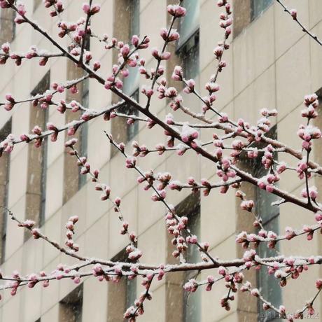 然的go于2022-12-08 20:05发布的图片