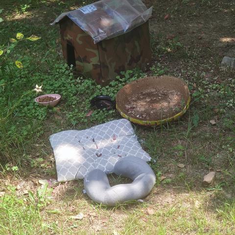 mochiiiii于2023-07-01 01:52发布的图片