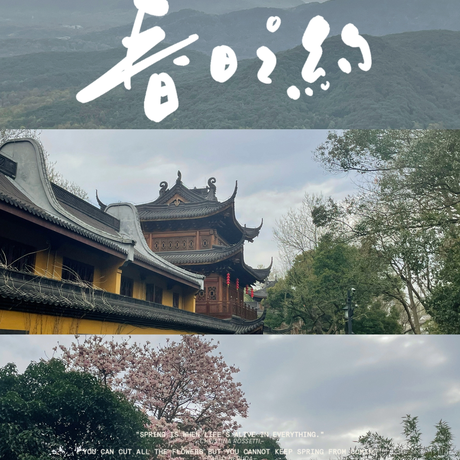 于2023-03-13 17:08发布的图片