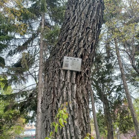 正兴于2023-05-14 00:39发布的图片